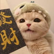 Cố vấn học đường